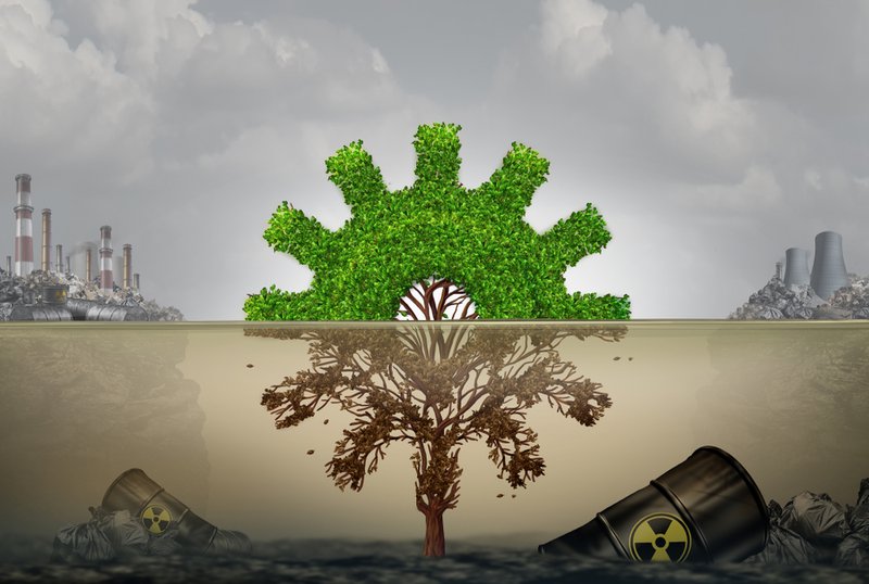 risk concept showing cog-shaped tree damaged by polluted water